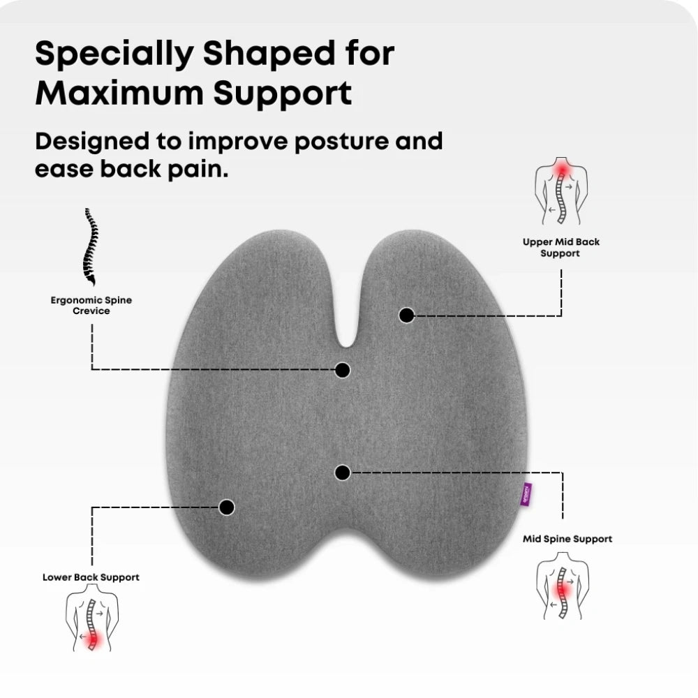 Zudo CoreComfort Ultimate Pro Seating Combo - Image 5